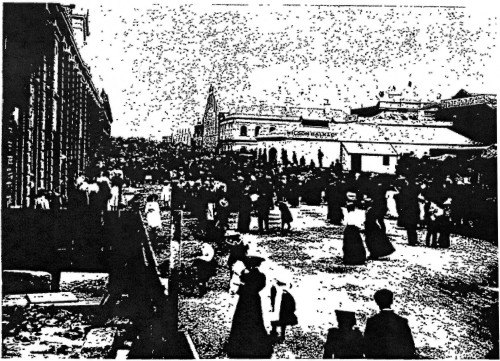 Rear of Agricultural Hall, Otago Witness, 30 Jan 1901